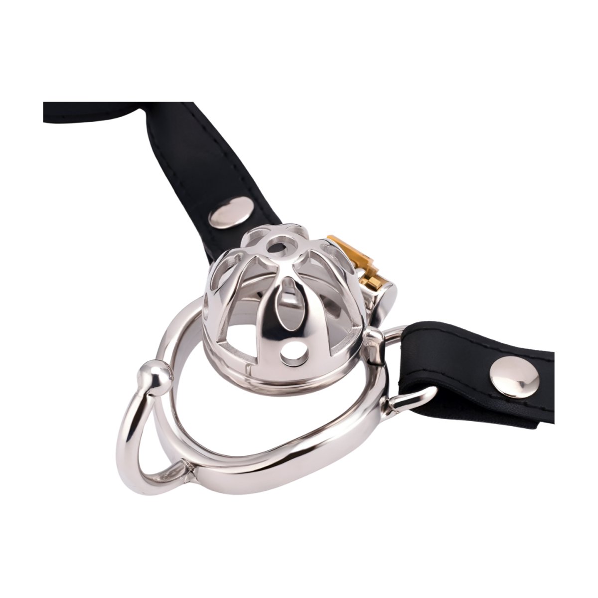 Short Chastity Cage & Cock Ring with Ears | Oxy-Shop - Oxy-shop