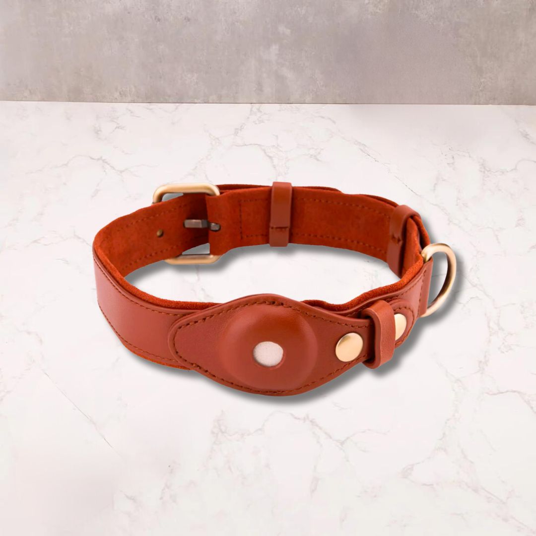 Apple Air tag collar for Submissive - Oxy-shop