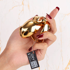 Golden HTV4 - Gold Chastity cage - Oxy-shop